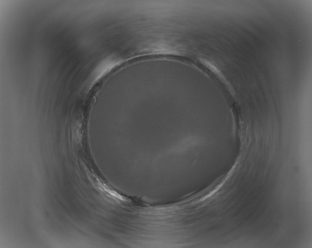 X0000081361163200701111514