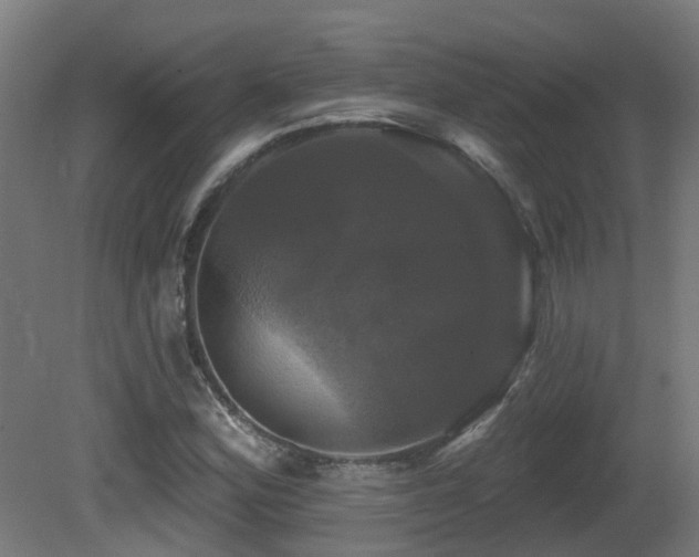 X0000081361164200701111514