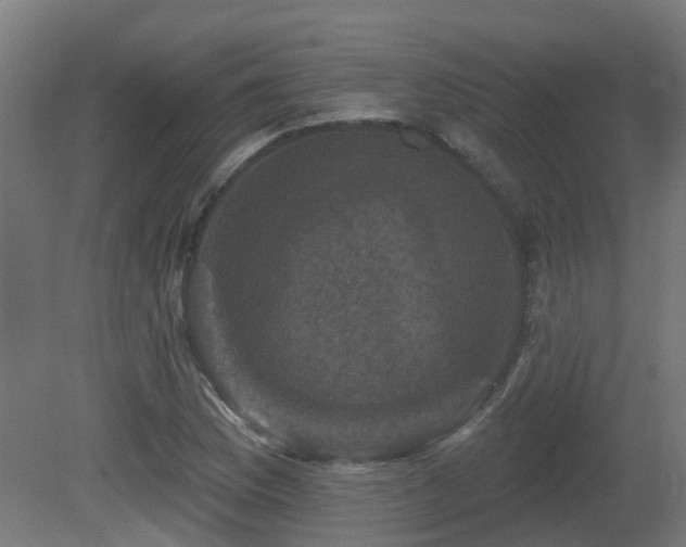 X0000081361169200701111514