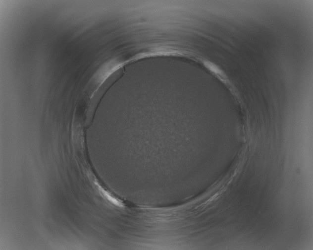 X0000081361177200701111513