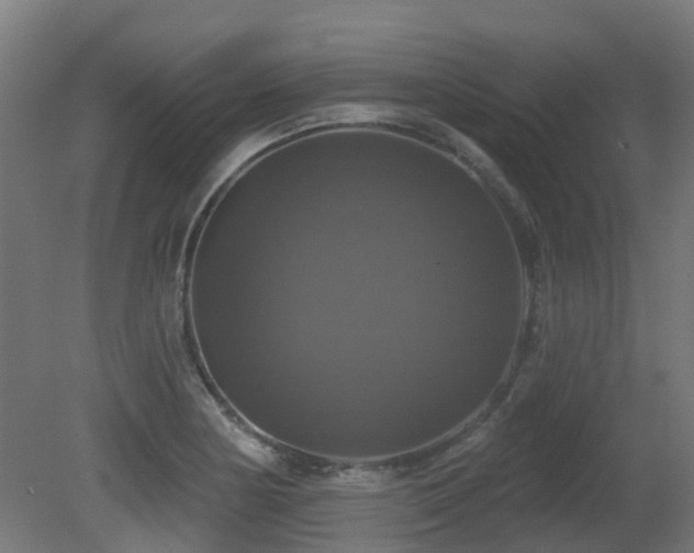 X0000081361178200701111513