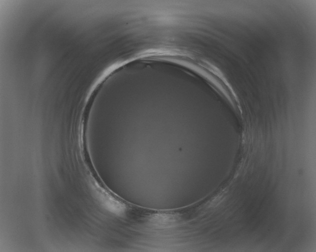 X0000081361179200701111513