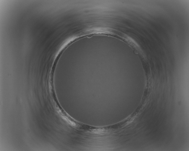 X0000081361182200701111513