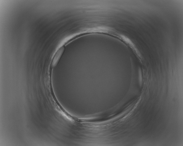 X0000081361184200701111513