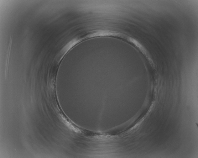 X0000081361185200701111513