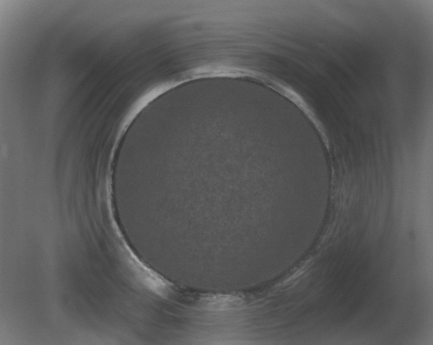 X0000081361187200701111513