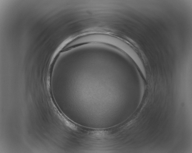 X0000081361188200701111513
