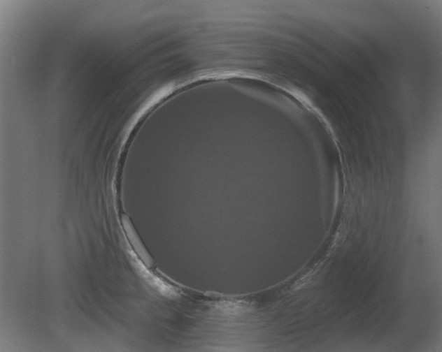 X0000081361189200701111513