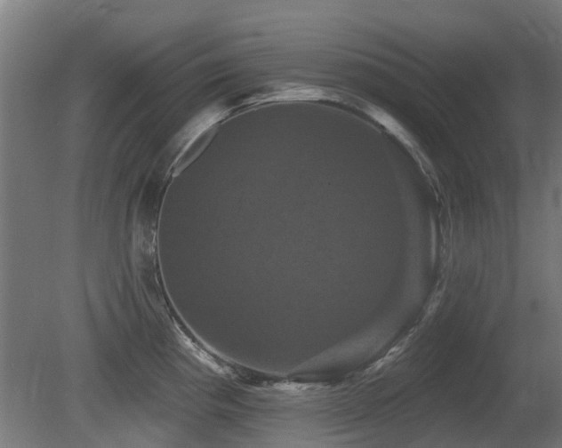 X0000081361193200701111513