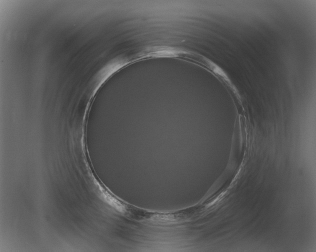 X0000081361194200701111513