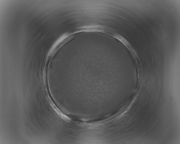 X0000081361196200701111513
