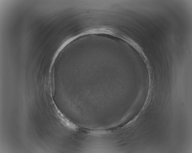 X0000081361200200701111513