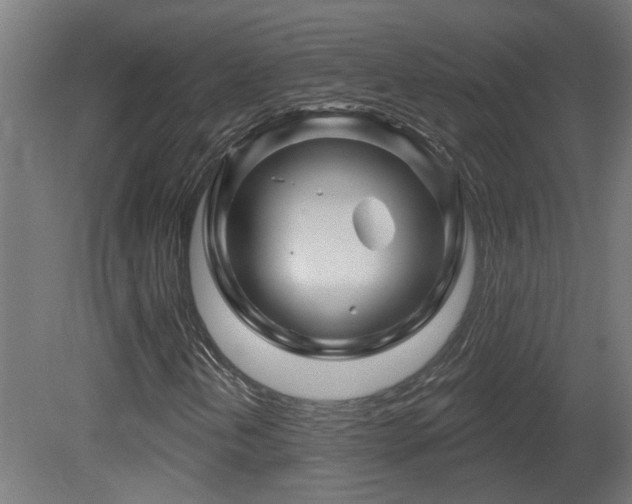 X0000081361202200701111512
