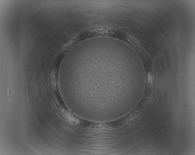X0000081361203200701111512