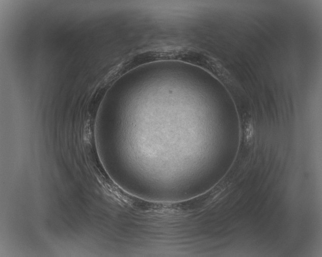 X0000081361204200701111512