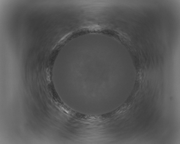 X0000081361205200701111512