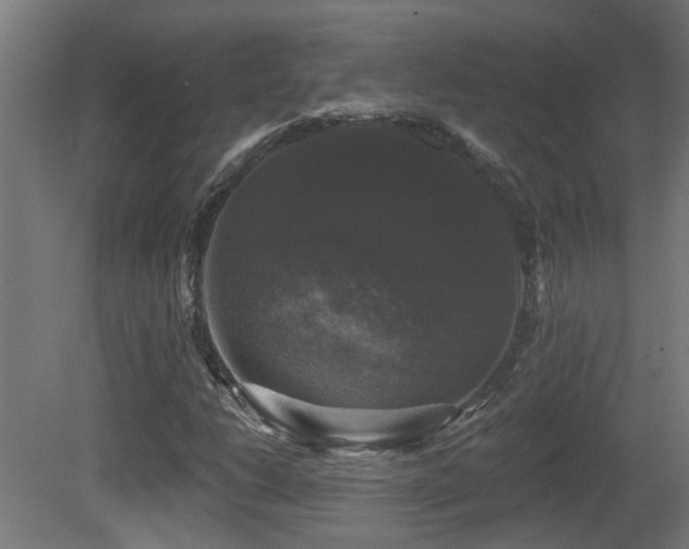 X0000081361206200701111512