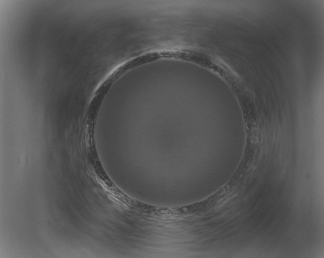 X0000081361208200701111512