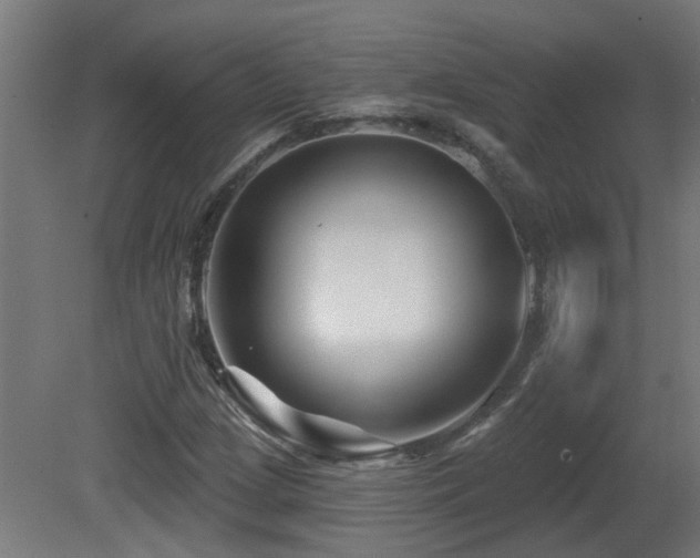 X0000081361209200701111512
