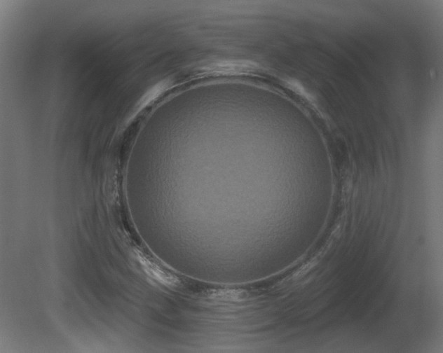 X0000081361211200701111512