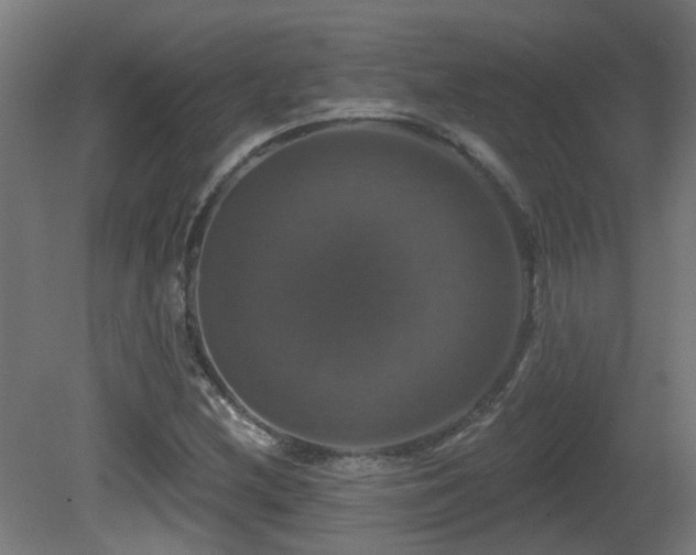 X0000081361212200701111512