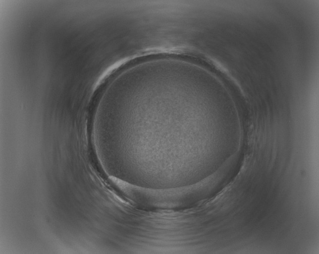 X0000081361214200701111512