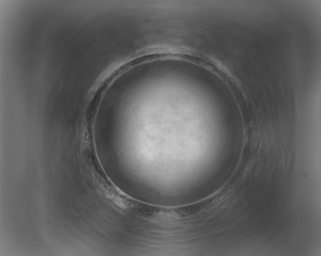 X0000081361215200701111512