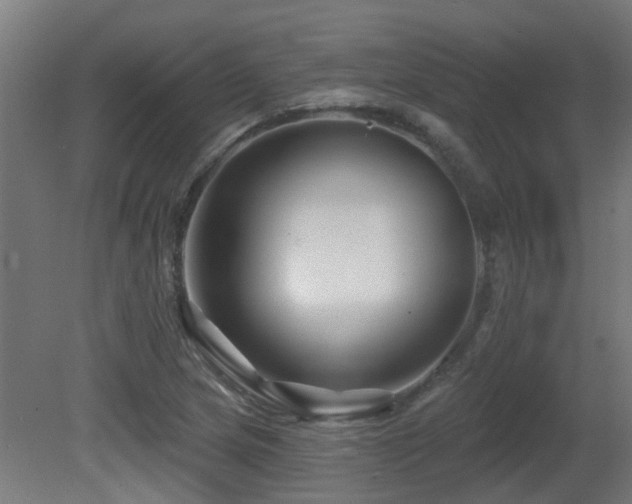 X0000081361217200701111513
