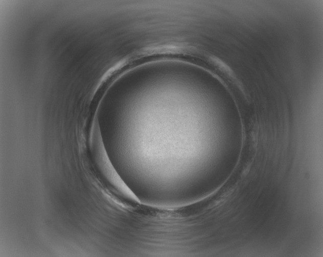 X0000081361218200701111513