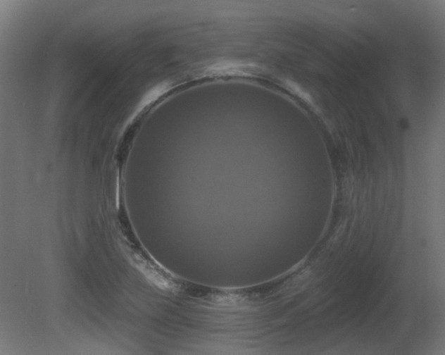 X0000081361219200701111513