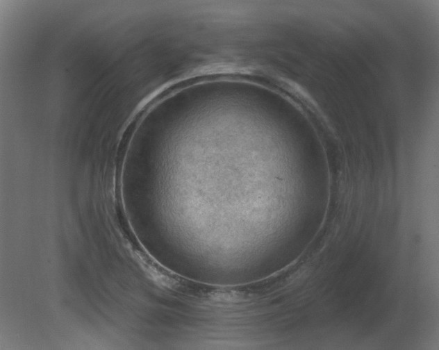 X0000081361220200701111513