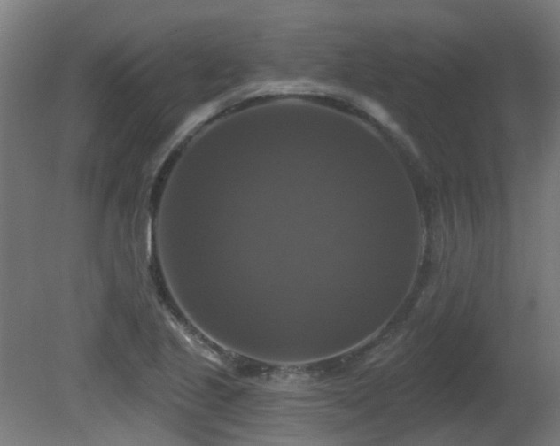 X0000081361221200701111513