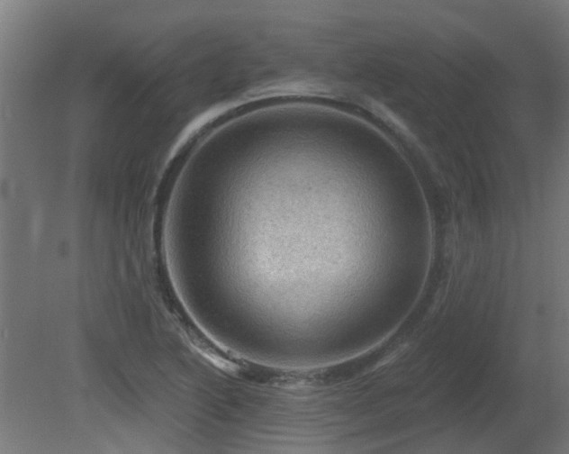X0000081361222200701111513