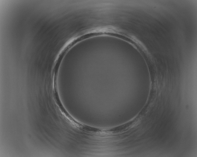 X0000081361224200701111513