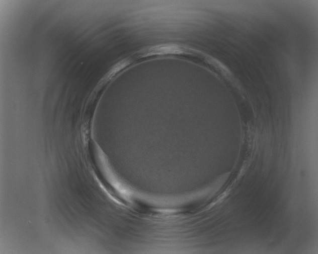 X0000081361225200701111513