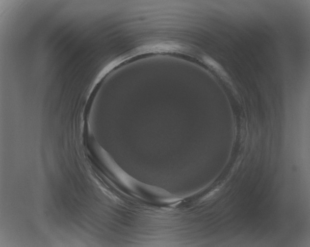X0000081361226200701111513