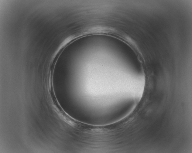 X0000081361227200701111513