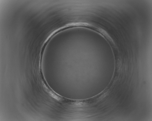 X0000081361228200701111513