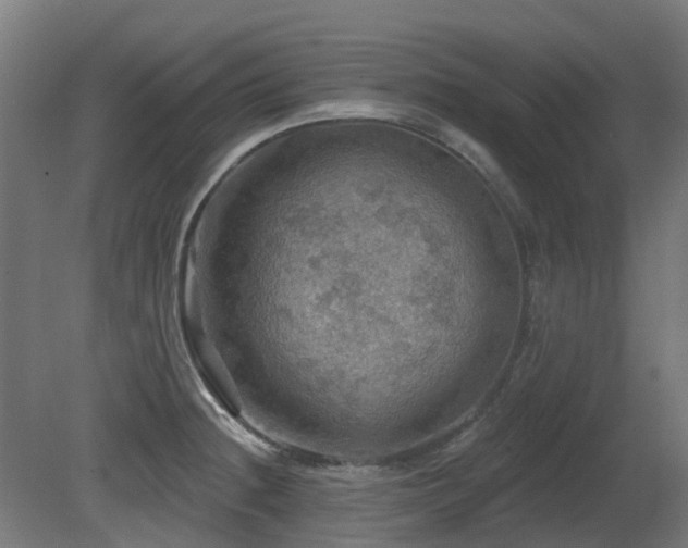 X0000081361236200701111513