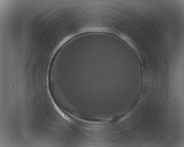 X0000081361237200701111513