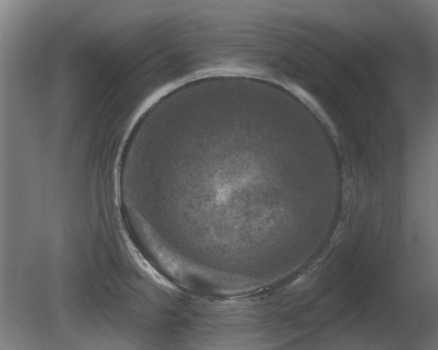 X0000081361238200701111513