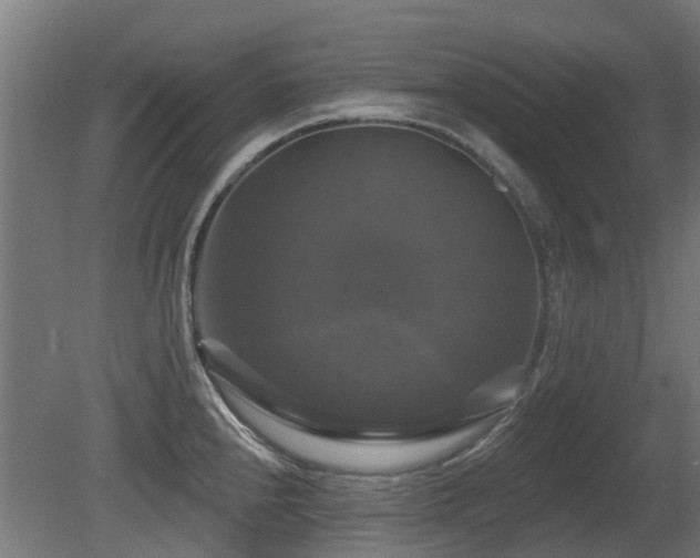 X0000081361240200701111513