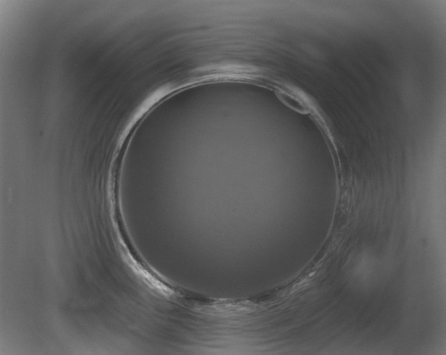 X0000081361243200701111513