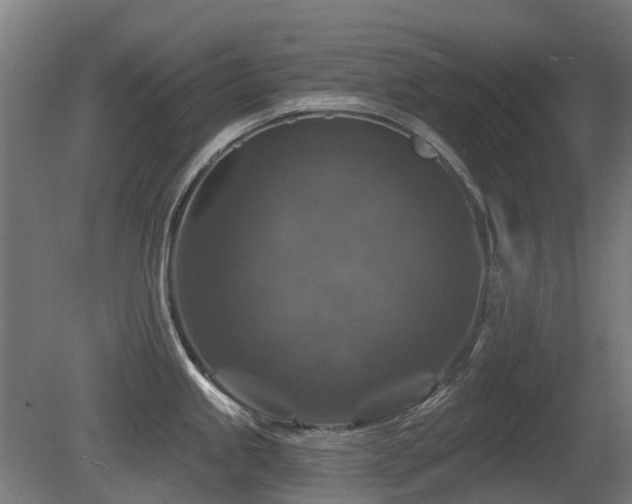 X0000081361245200701111513