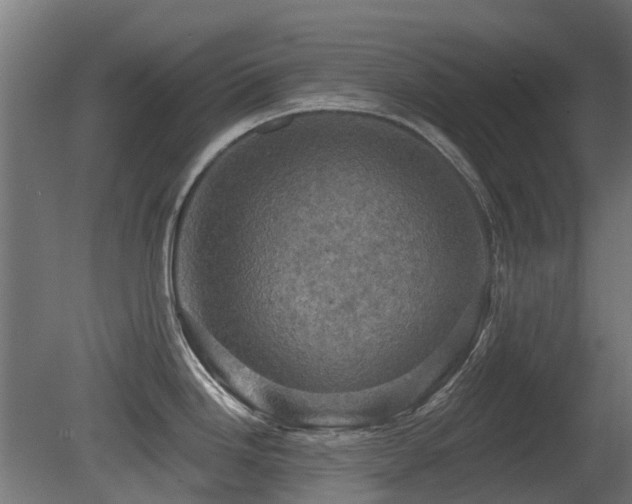X0000081361246200701111513