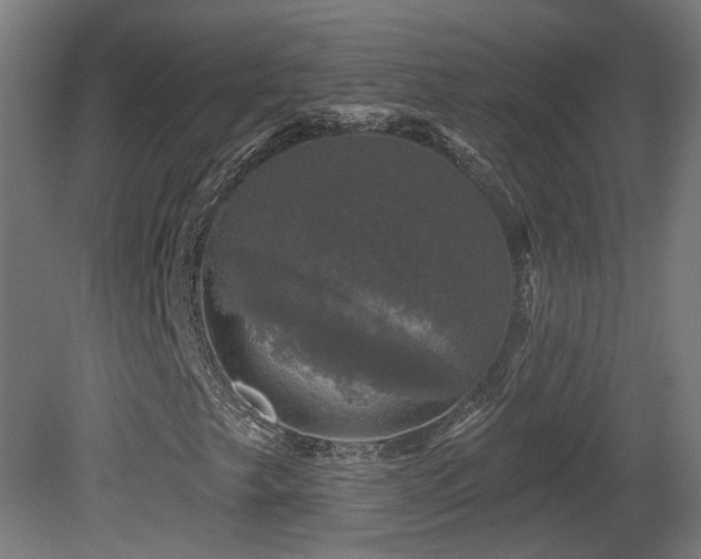 X0000081361249200701111512