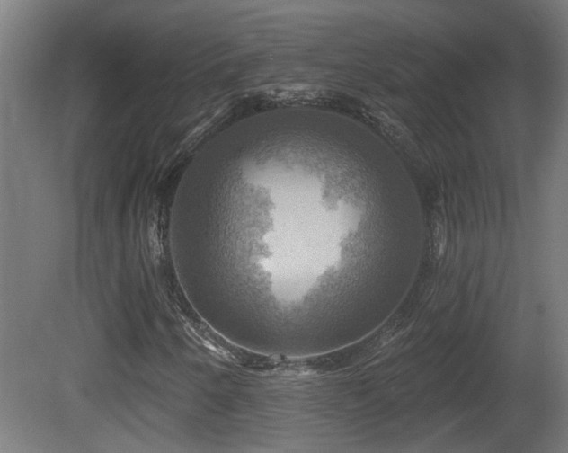 X0000081361250200701111512