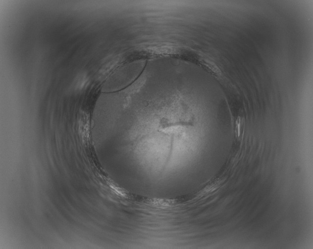 X0000081361251200701111512