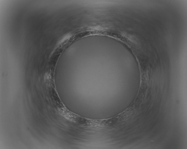 X0000081361254200701111512
