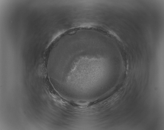 X0000081361256200701111512
